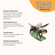 Image result for Boccia In Epsom & Ewell (Bees)