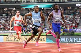 Image result for Tobogo