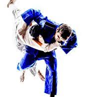 Image result for Halton Inclusive Judo Club