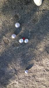Image result for Petanque Wallingford