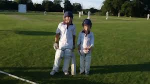 Image result for Buckhorn Weston Cricket Club