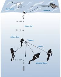 Image result for Blue Water Diving