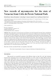Attēlu rezultāti vaicājumam “Didymium annulisporum young”