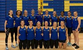 Image result for Raychem Netball Club
