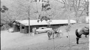 Image result for Old Park Riding Stables