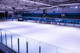 Image result for Guildford Ice Dance Club