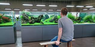 Znalezione obrazy dla zapytania takashi amano%