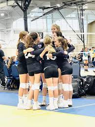 Image result for Ellesmere Port Eels Volleyball Club