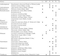 Attēlu rezultāti vaicājumam “Prociphilus xylostei”