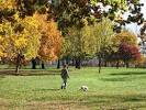 Forest Park - Saint Louis - Reviews of Forest Park - TripAdvisor
