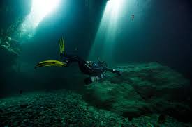 Image result for Eltham and District Sub Aqua Club