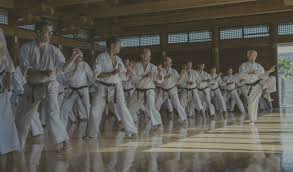 Image result for Katakuri Karate