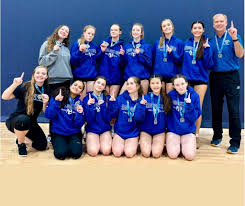 Image result for British Airways Volleyball Club