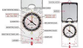Image result for compass
