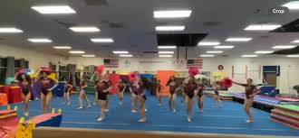 Image result for Acrobrats