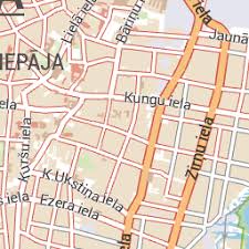 Attēlu rezultāti vaicājumam “Pantilius tunicatus imago”