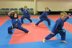 Image result for Okami Karate & Fitness Schools