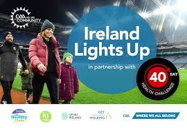 Image result for Lisnaskea Emmetts Gfc