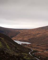 Image result for Thames Valley Silent Flyers