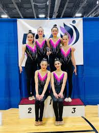 Image result for Asymmetrix Gymnastics Club