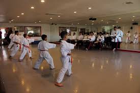 Image result for Imperial Karate Club