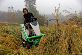 Image result for etesia tehron