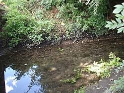 Image result for Luton Leagrave A F C