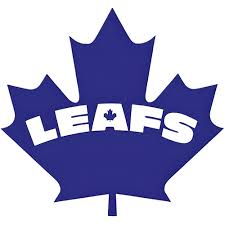 Image result for Dundee Ducks inline roller hockey club