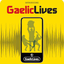 Image result for St Colmcilles Grange G F C