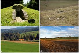 Attēlu rezultāti vaicājumam “Lamprospora tortulae-ruralis”