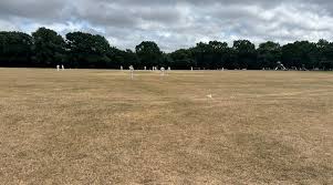 Image result for Frimley Cricket Club