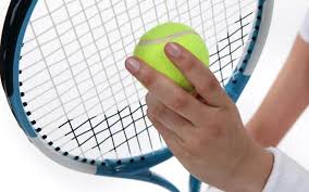 Image result for Framlingham Badminton Club