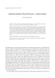 Attēlu rezultāti vaicājumam “Bryum amblyodon”