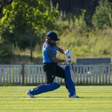 Image result for Forest Green Estonia Cricket Club
