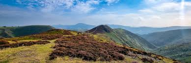 Image result for Long Mynd