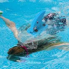 Image result for Swansea Finswimming Club