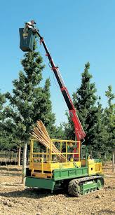 Image result for holmac tehron