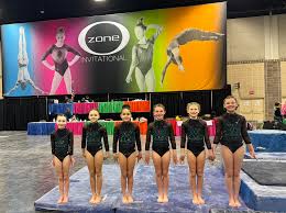 Image result for L&G Acrobatic Gymnastics Club