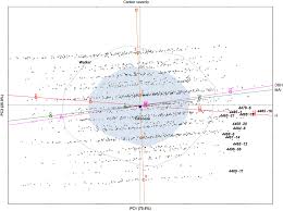 Attēlu rezultāti vaicājumam “Populus x petrowskyana”