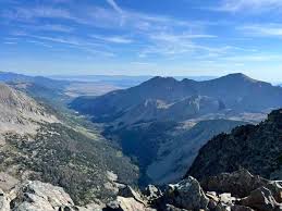 Image result for mountain top seashell