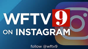 Image result for Orbit Infant System Anne Heche