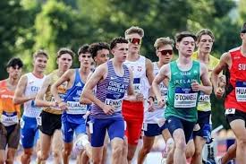 Image result for Louth Athletic Club