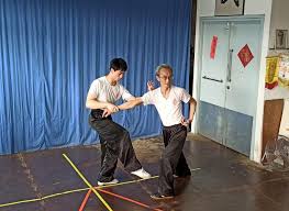 Image result for Chat Ying Kuen Kung Fu Club