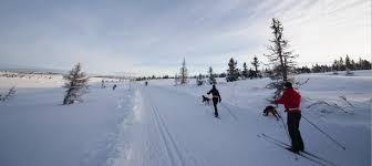 Image result for North London Mountaineering Club