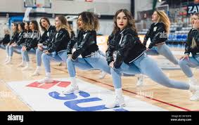 Image result for Sheffield Scorpions Cheerleading