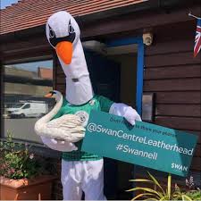 Image result for Leatherhead Football Club