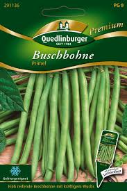 Image result for Buschbohnen