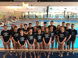 Image result for Guildford Sc