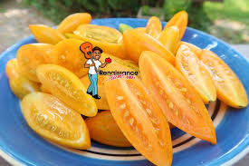 Afbeeldingsresultaat voor blushing yellow tomato