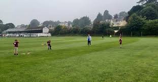 Image result for Torquay Cricket Club